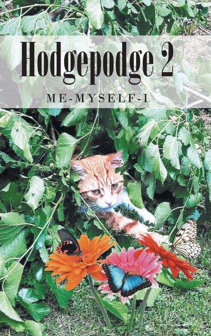 Hodgepodge 2
