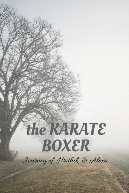 the KARATE BOXER
