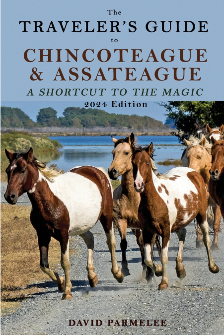 The Traveler’s Guide to Chincoteague and Assateague