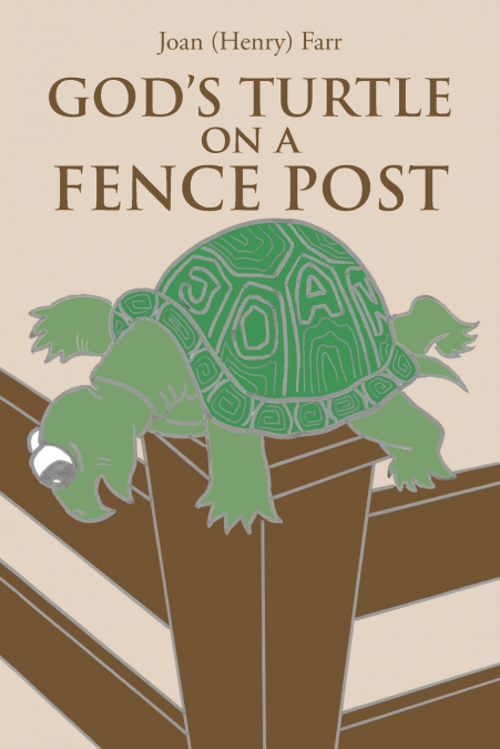 God’s Turtle on a Fence Post