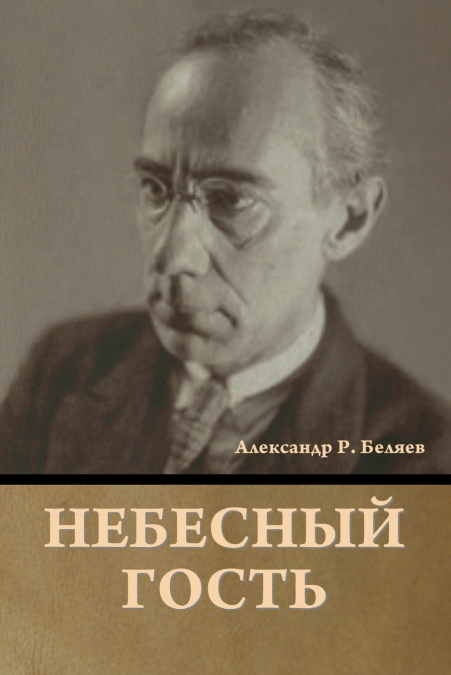 Небесный гость