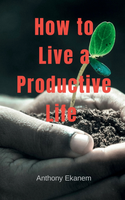 How to Live a Productive Life