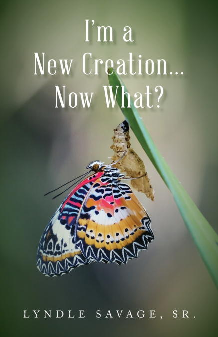 I’m a New Creation... Now What?