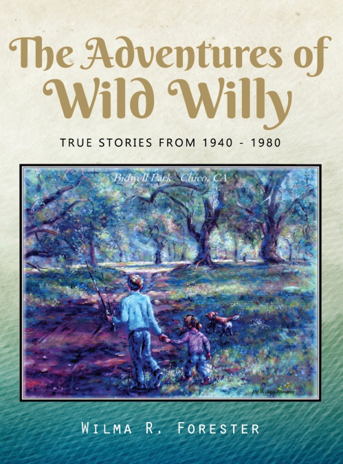 The Adventures of Wild Willy