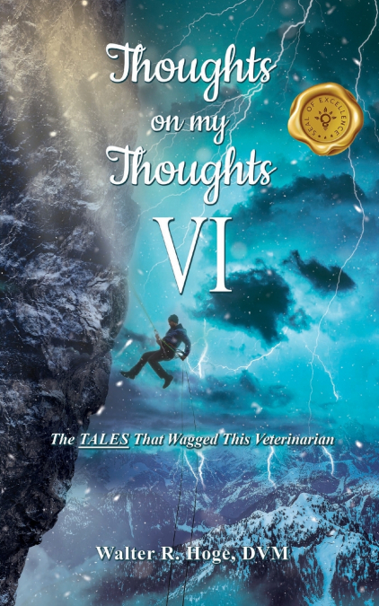 Thoughts on my Thoughts VI