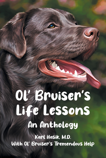 Ol’ Bruiser’s Life Lessons