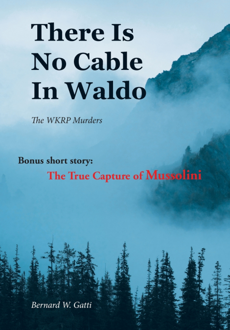 There Is No Cable In Waldo