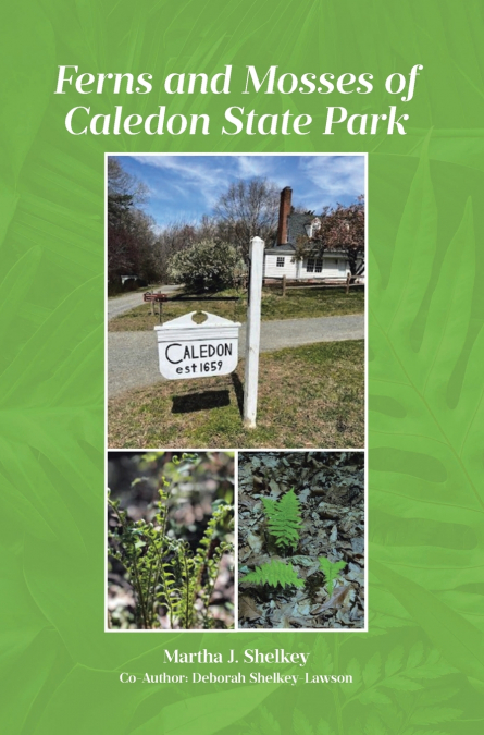 Ferns and Mosses of Caledon State Park