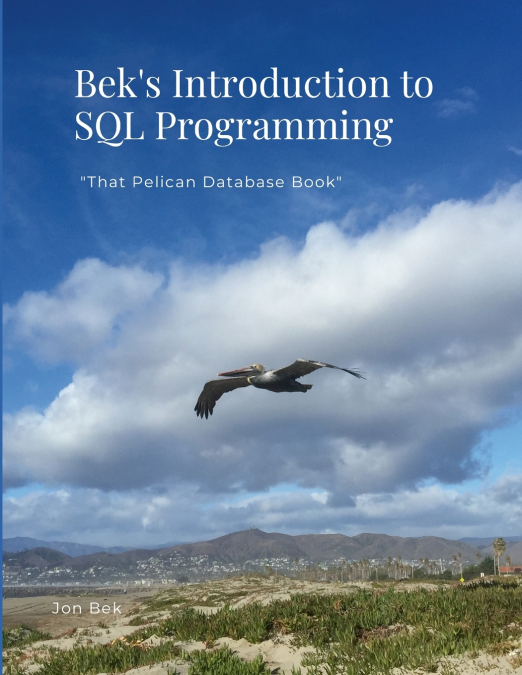Bek’s Introduction to SQL Programming