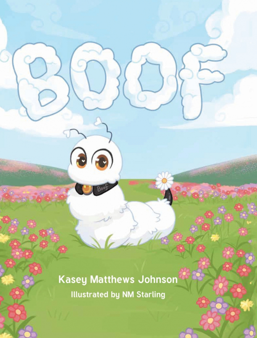 BOOF