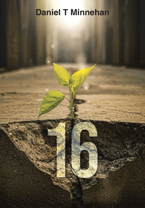 16