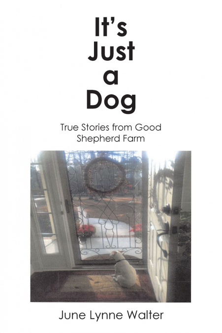 It’s Just a Dog