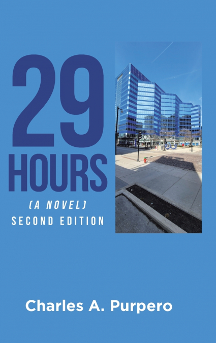29 Hours (A Novel)
