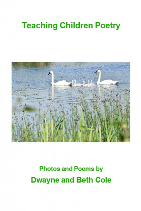 Teaching Children Poetry
