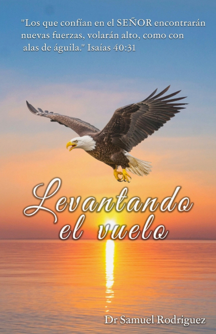 LEVANTANDO EL VUELO
