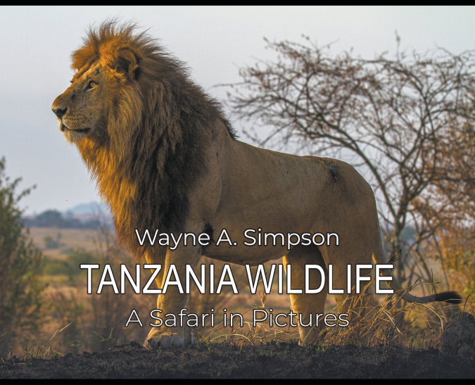 Tanzania Wildlife