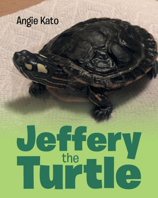 Jeﬀery the Turtle