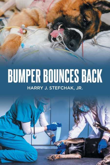 Bumper Bounces Back