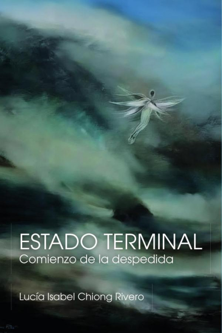 ESTADO TERMINAL: Comienzo de la despedida