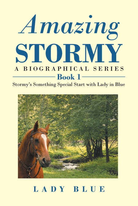 Amazing Stormy
