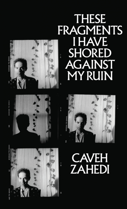These Fragments I Have Shored Against My Ruin