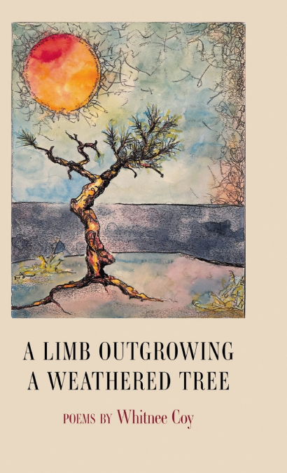 A Limb Outgrowing a Weathered Tree