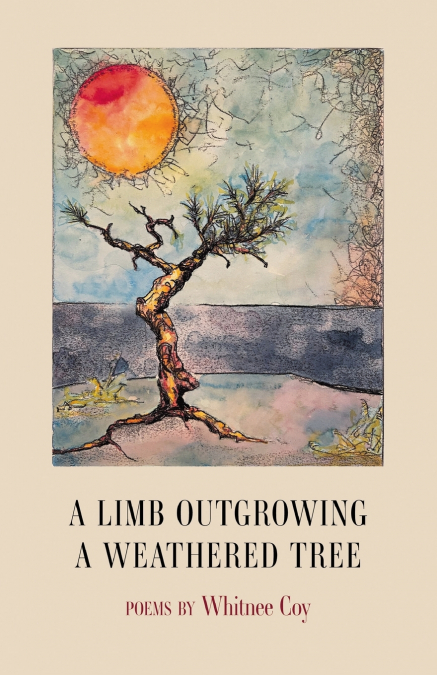 A Limb Outgrowing a Weathered Tree