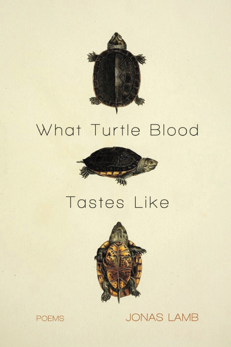 What Turtle Blood Tastes Like