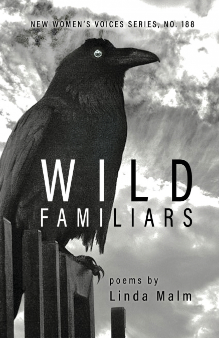 Wild Familiars