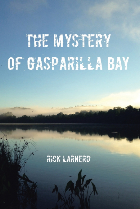 The Mystery of Gasparilla Bay