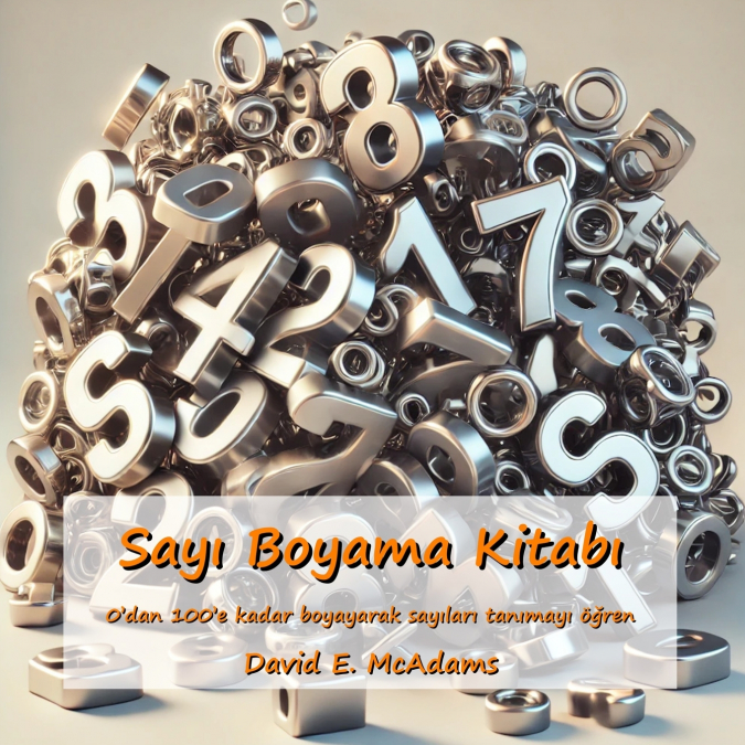 Sayı Boyama Kitabı