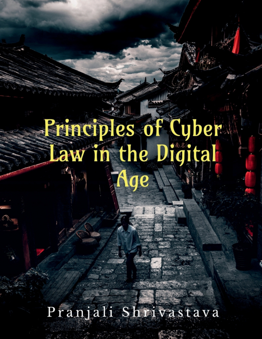 Principles of Cyber Law in the Digital Age