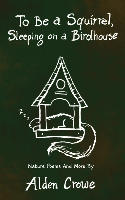 To Be A Squirrel, Sleeping On A Birdhouse