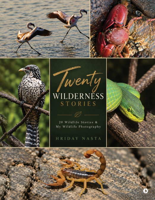 Twenty Wilderness Stories