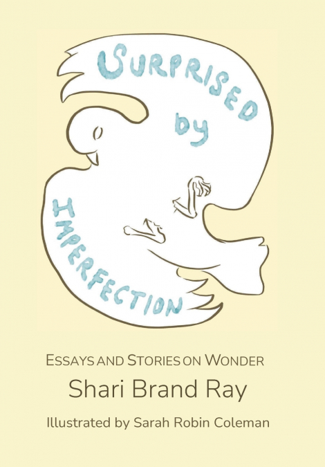 Surprised by Imperfection