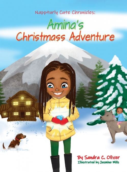 Amina’s Christmas Adventure