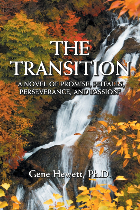 The Transition 'A Novel of Promise, Pitfalls, Perseverance, and Passion'
