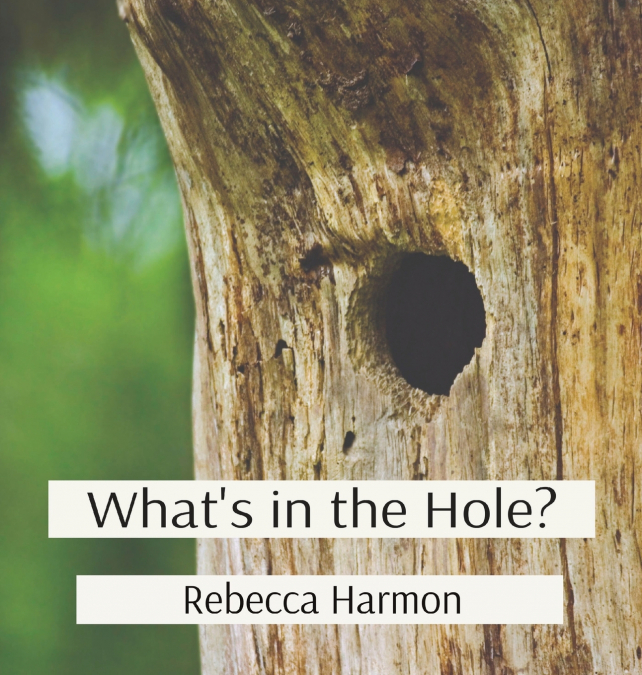 What’s in the Hole?