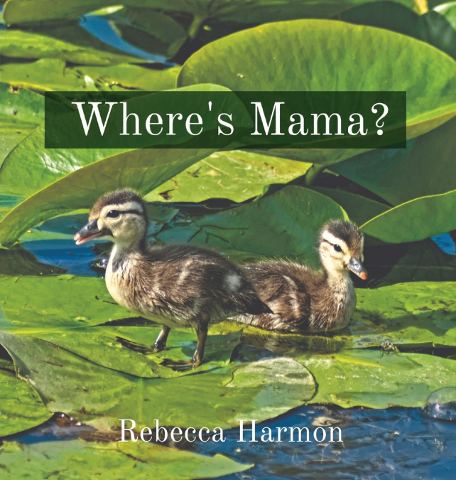 Where’s Mama?