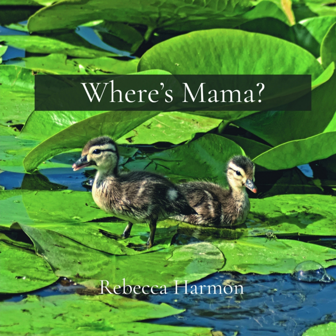 Where’s Mama?