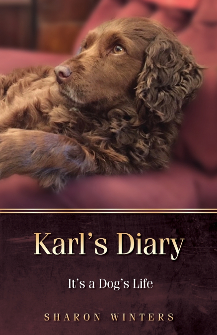 Karl’s Diary