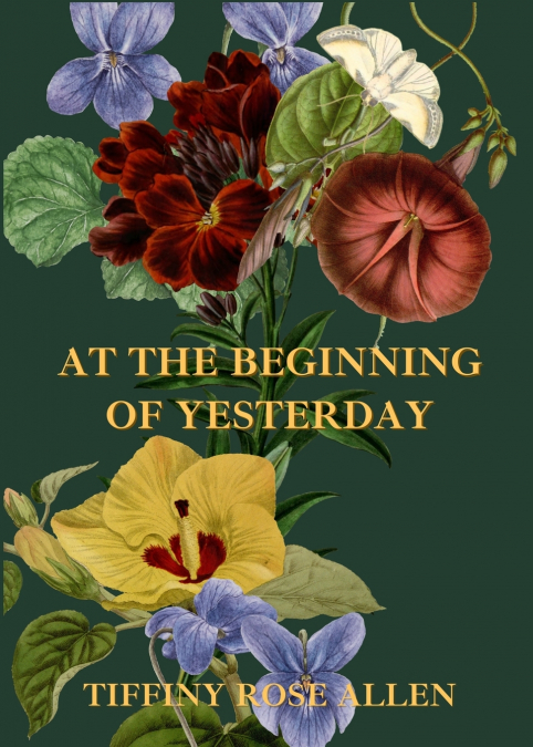 At The Beginning Of Yesterday