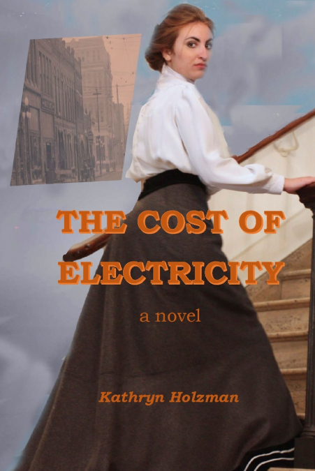 The Cost of Electricity, a Novel