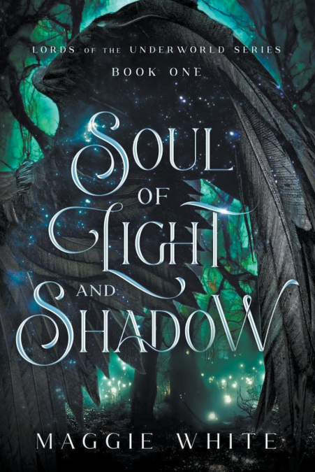 Soul of Light and Shadow