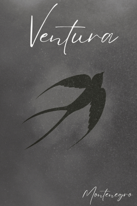 VENTURA