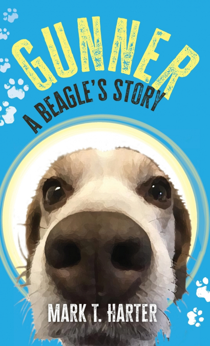 Gunner, a beagle’s story