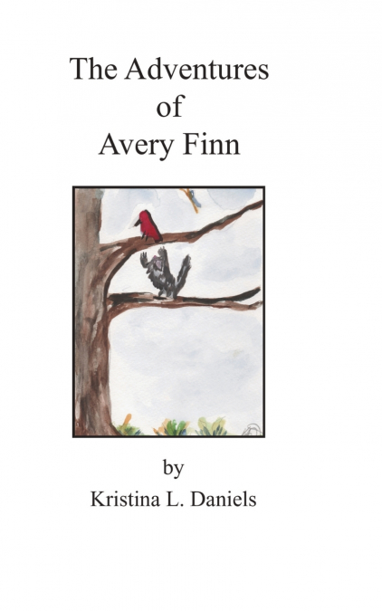 The Adventures of  Avery Finn