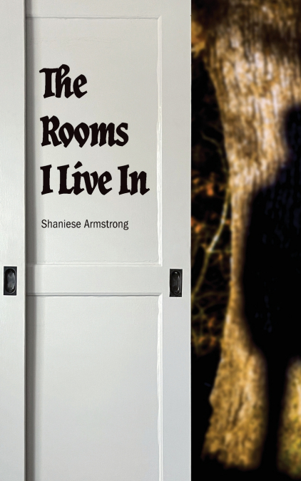The Rooms I Live In