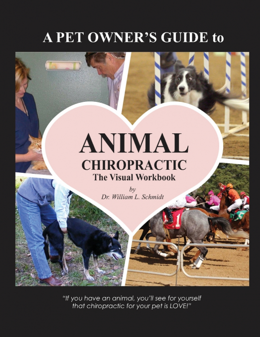 A Pet Owner’s Guide to Animal Chiropractic