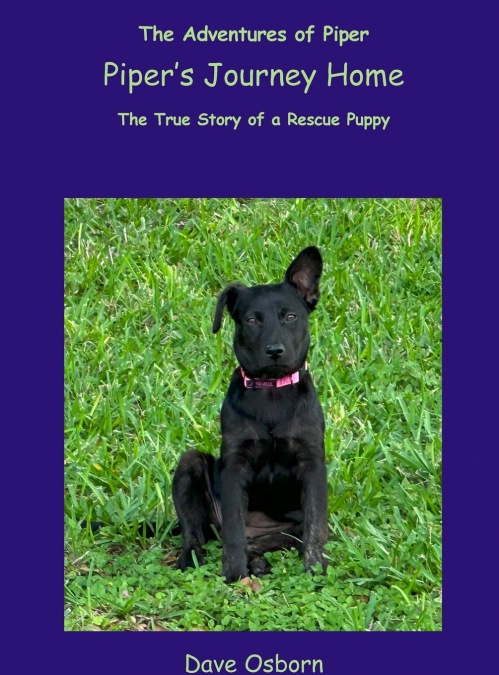 Piper’s Journey Home